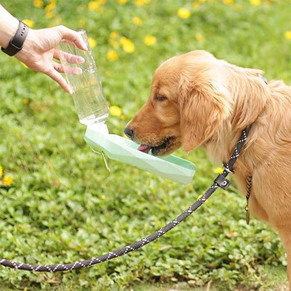 Outdoor travel drinking fountain portable water supply take-out drinking bottle